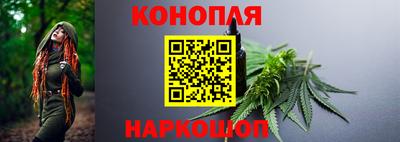 прущие грибы Славгород