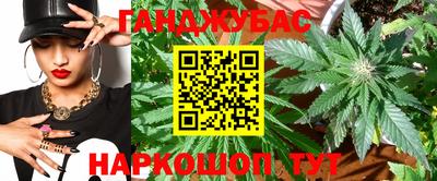 прущие грибы Славгород