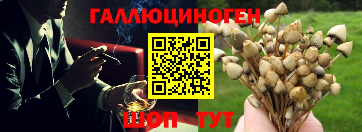 Нижний Новгород  Псилоцибиновые грибы GOLDEN TEACHER  Вход с VPN 